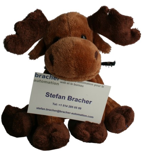 Information about Bracher-Automation (Montreal, Canada), the owner: Stefan Bracher and the mascot: Murphy.
