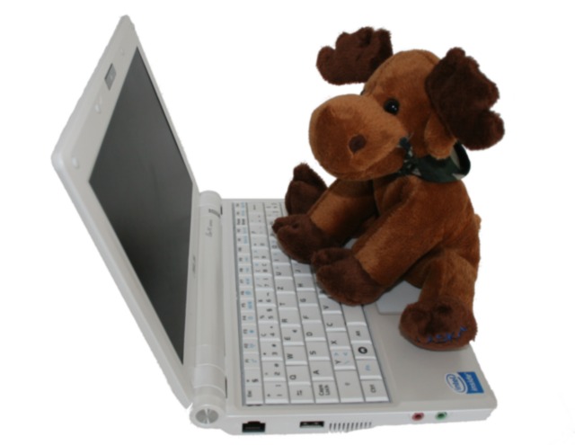 Bracher-Automation : Votre spécialiste en automation de sites web. Bracher-Automation : Votre spécialiste en automation de sites web.